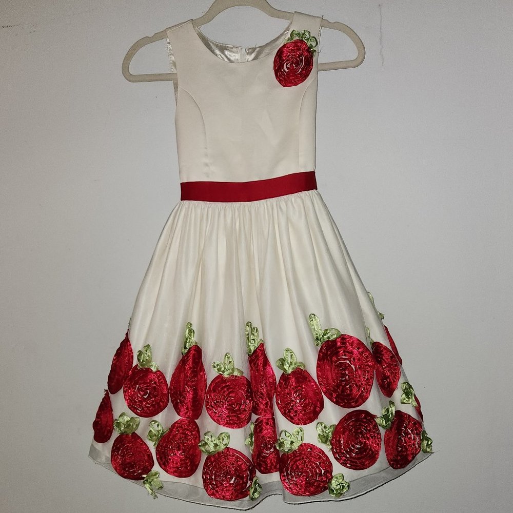 American Girl Special Occasion Dress, Pageant Dress, Party Dress Size 14